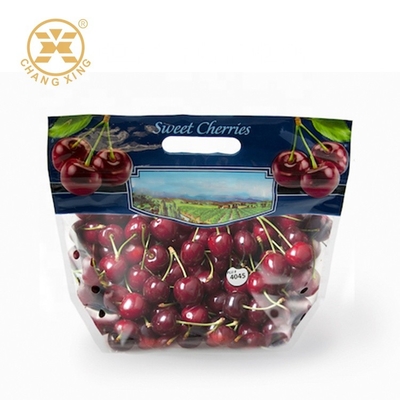 100g 500g ξεραίνουν τις συσκευάζοντας τσάντες φρούτων με τη φρέσκια στάση κερασιών τρυπών επάνω στις σακούλες Eco φιλικό